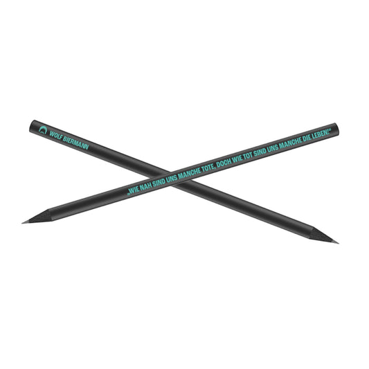 Wolf Biermann Bleistift – Der Hugenottenfriedhof (Black Pencil)