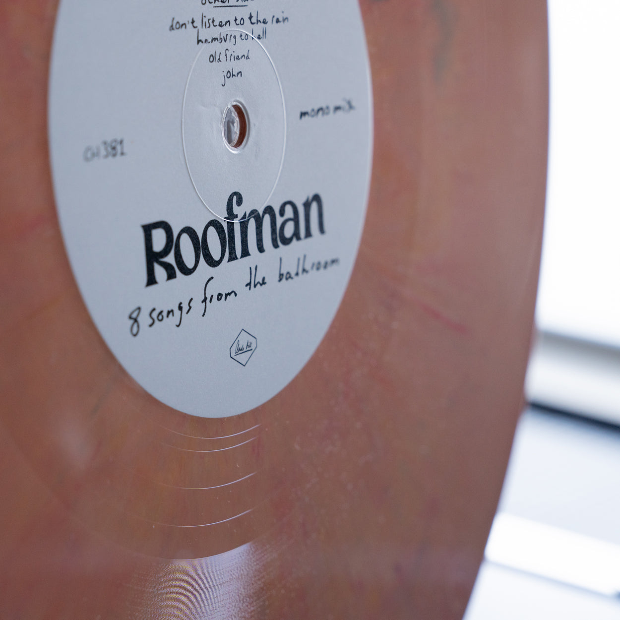 Roofman - 8 songs from the bathroom - 12"