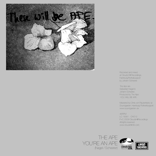 The Ape - You're An Ape - 7"